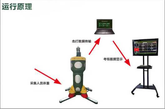 图片 6.png
